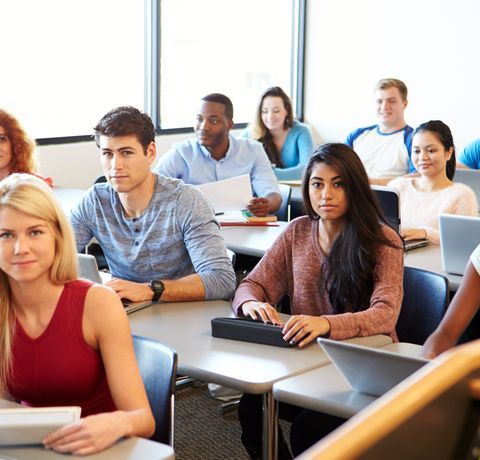 ورشات عمل MZ Academia